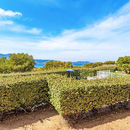 公寓 Giulia I By Interhome *